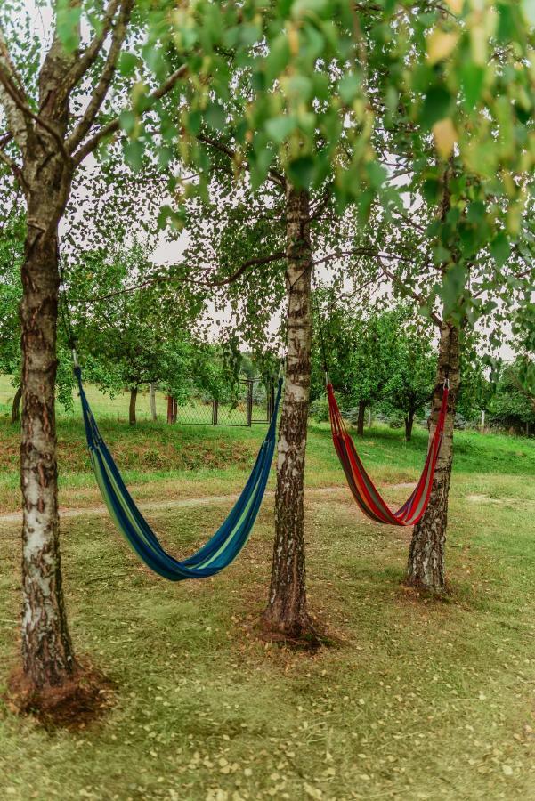 Szmaragdowy Domek Nowy Wisnicz エクステリア 写真